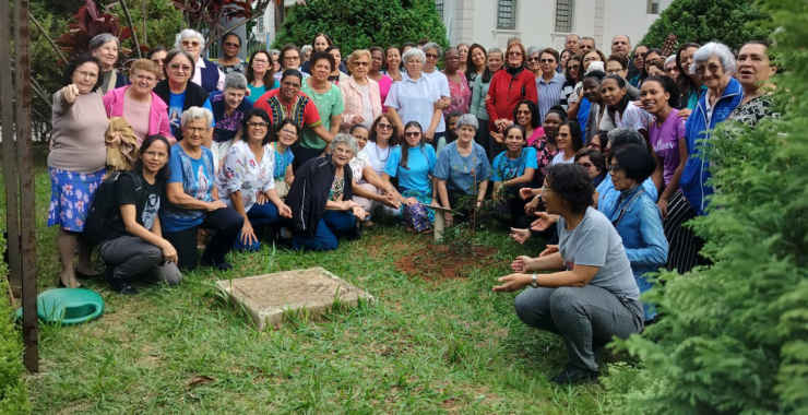 Congregação homenageia Papa Francisco com plantio de árvores 