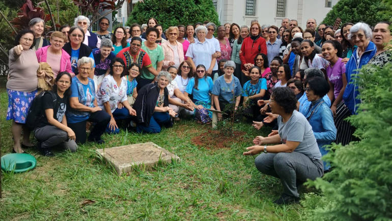 Congregação homenageia Papa Francisco com plantio de árvores 